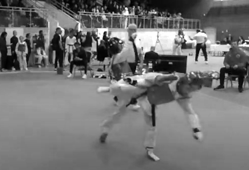 Resultat: Taekwondo Miniorer, Kadetter och Juniorer – Svenska Cupen 2&nbsp;-2024