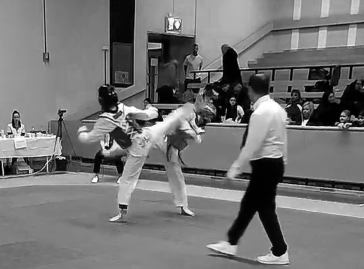 Resultat: Svenska Mästerskapen Taekwondo – 2024 – Damer, Seniorer och&nbsp;Masters