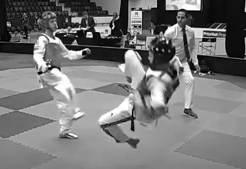 Resultat: Svenska Mästerskapen i Taekwondo 2018 –&nbsp;Juniorer